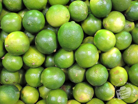 lime, fresh limes, lime photo, vegetable, spice, vegetable photo, free stock photo, free picture, stock photography, royalty-free image