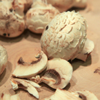 white mushroom, champignon, button mushroom, vegetable photos, veggie, free stock photo, royalty-free image