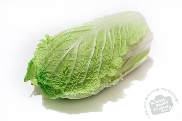 napa cabbage, vegetable, fresh veggie, vegetable photo, free stock photo, free picture, stock photography, royalty-free image