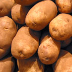 potato, vegetable, fresh veggie, vegetable photo, free stock photo, free picture, stock photography, royalty-free image
