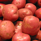 potato, red potato, vegetable, fresh veggie, vegetable photo, free stock photo, free picture, stock photography, royalty-free image
