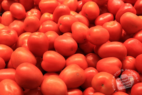 roma tomato, red tomato, berry tomato, vegetable photos, veggie, free stock photo, royalty-free image