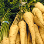 parsley, root parsley, vegetable, fresh veggie, vegetable photo, free stock photo, free picture, stock photography, royalty-free image