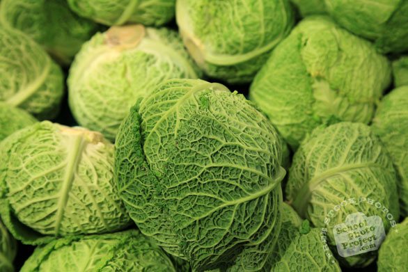 savoy cabbage, green cabbage, vegetable photos, veggie, free stock photo, royalty-free image