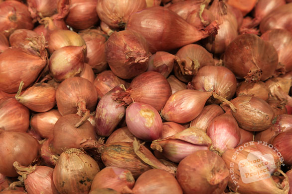 shallot onion, red onion, vegetable photos, veggie, free stock photo, royalty-free image