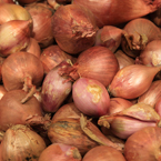 shallot onion, vegetable photos, veggie, free stock photo, royalty-free image