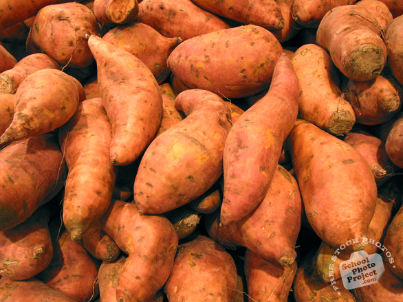 sweet potato, sweet potato photo, potato, vegetable, fresh veggie, vegetable photo, free stock photo, free picture, stock photography, royalty-free image