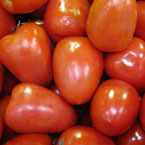 tomato, fresh tomato, vegetable, fresh veggie, vegetable photo, free stock photo, free picture, stock photography, royalty-free image