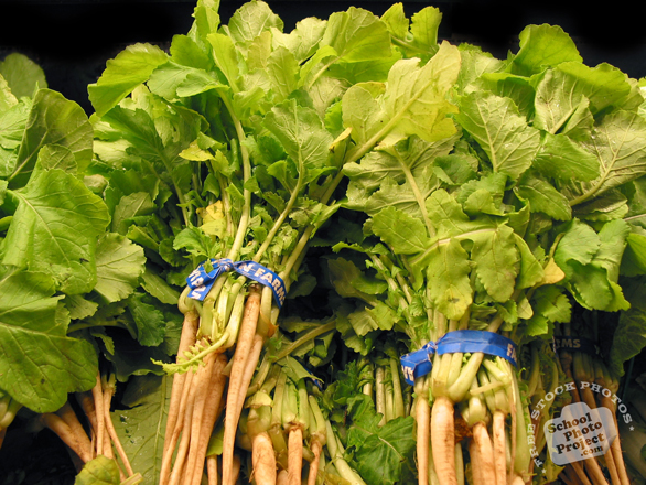 vegetable, fresh veggie, vegetable photo, free stock photo, free picture, stock photography, royalty-free image, free image