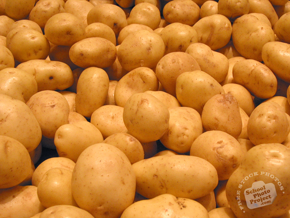potato, potato photo, white potato, vegetable, fresh veggie, vegetable photo, free stock photo, free picture, stock photography, royalty-free image