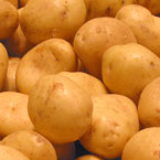 potato, white potato, vegetable, fresh veggie, vegetable photo, free stock photo, free picture, stock photography, royalty-free image